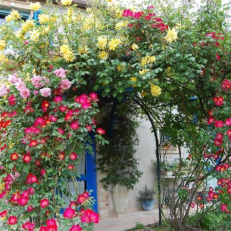 B&B Vento Di Rose Monterubbiano Exterior foto