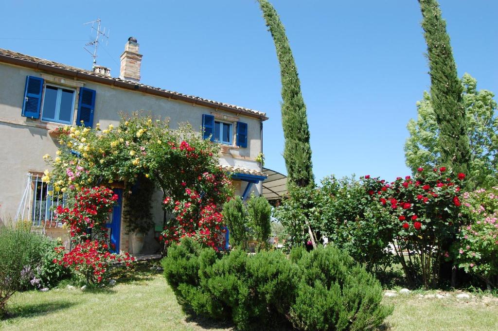 B&B Vento Di Rose Monterubbiano Exterior foto