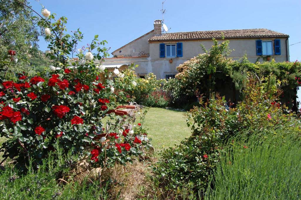 B&B Vento Di Rose Monterubbiano Exterior foto