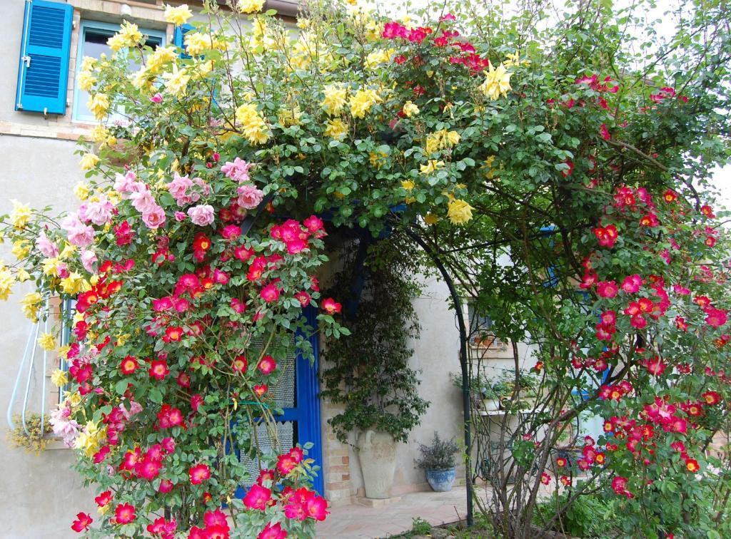 B&B Vento Di Rose Monterubbiano Exterior foto